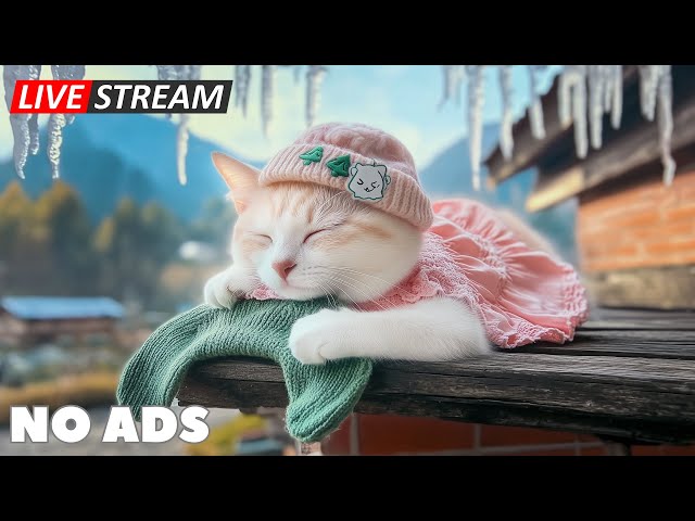 Meditation Music for Nervous Cats 2025 🎊  Calming Background Music for  Deep Relaxation and Sleep 🎵🐈