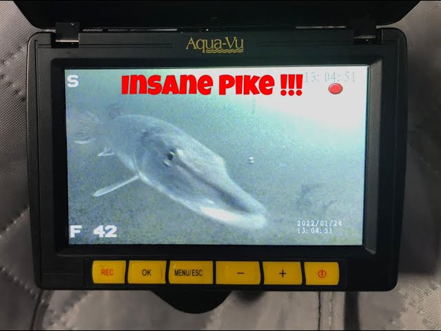 Insane Underwater Northern Pike!!          (AquaVu Revolution Pro 5 ) #aquavu