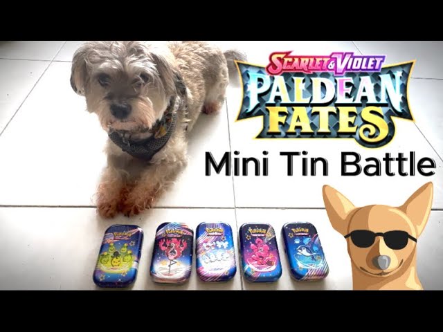 Which Mini Tin is the ✨BEST✨?? (Pokemon Paldean Fates Master Set - Part 3)