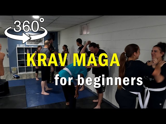 360 degree View - Krav Maga for Beginners - White Belt Training