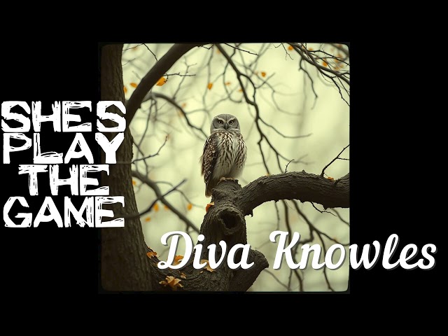 SHEs PLAY THE GAME by Diva Knowles (B&B RECORDS) #new #music #fyp #noticias #funny