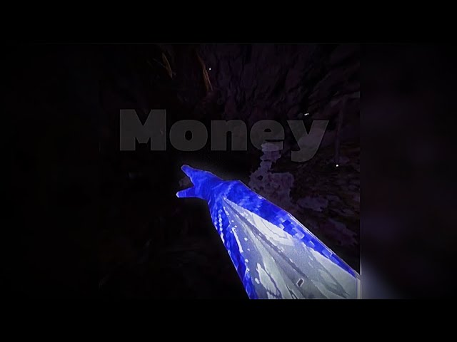 Money (gorrila tag montage)