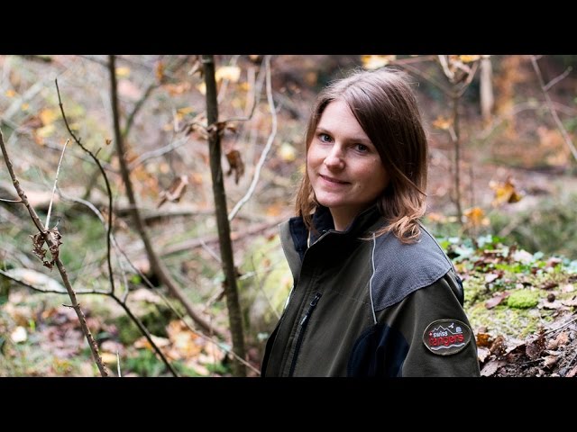 Unterwegs mit einer Rangerin im Wildnispark Zürich