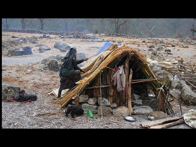 Best Life in A Himalayan Village During The Snowfall | Most Relaxing | Shepherd Documentary Video .