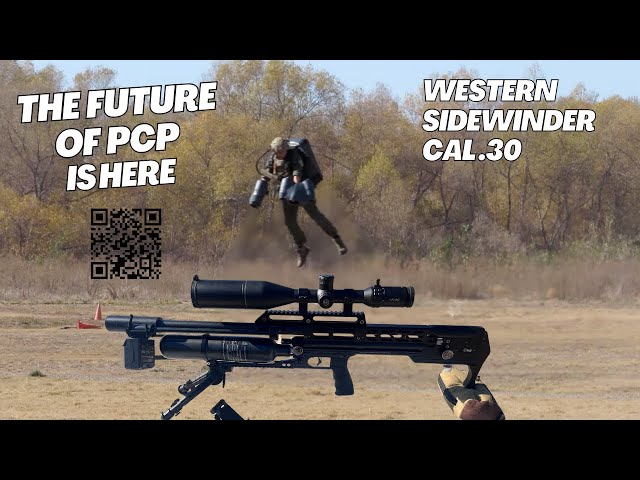 Western Sidewinder PCP air rifle Cal .30 Review & testing pellets 50 & 100 Yards