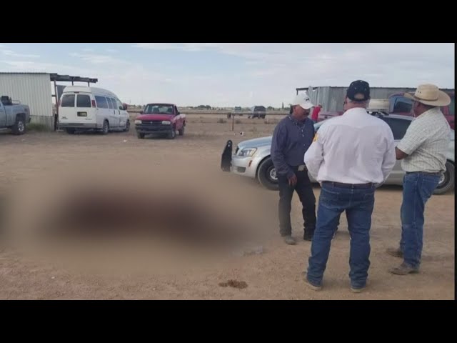 Illegal horse race busted outside Roswell