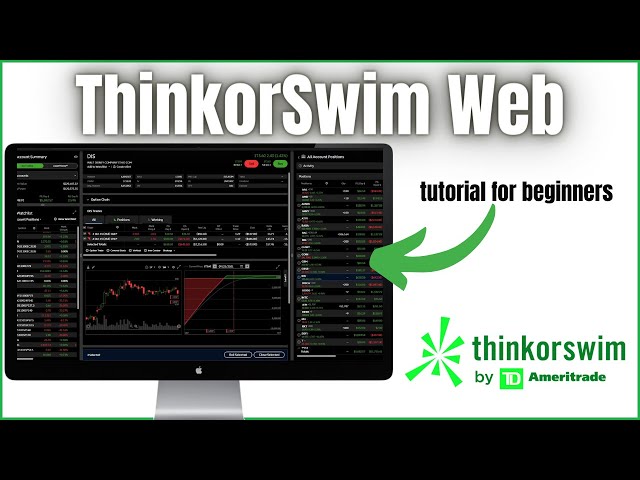 ThinkorSwim Web Tutorial for Beginners | TOS Web