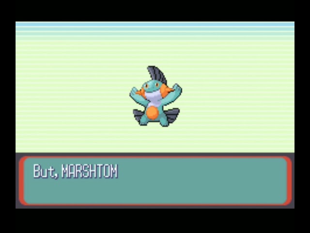 Mudkip evolves to Marshtomp #shorts #sapphire