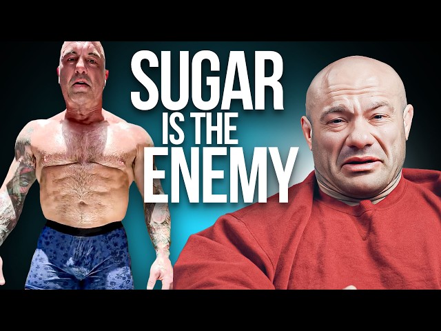 Exercise Scientist Critiques Joe Rogan's Training, Diet, and Drug Use