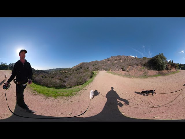 December 27th 360 Video hiking Rossi, Maisy, Walter, Dillinger Griffith Park VIDEO 0791