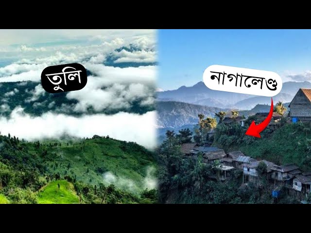 নাগালেণ্ড॥এখন ধুনীয়া ৰাজ্য॥NAGALAD॥TULI NAGALAND ॥#assamesevlogs  #vlogs