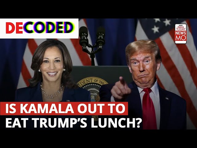 US Presidential Elections 2024: Kamala Harris’s Stance On Abortion, Immigration, Gun Law | Decoded