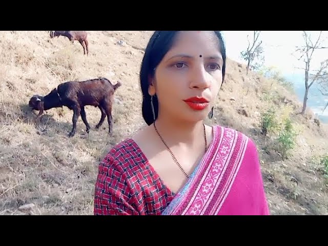 पेड़ों की हरियाली🌿🥀 new blog Reena Devi 🙏