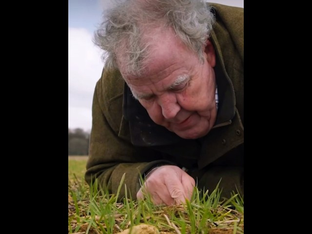 Jeremy’s Advert for Hawkstone😂 #jeremyclarkson #farming #clarksonsfarm #british #agriculture #uk