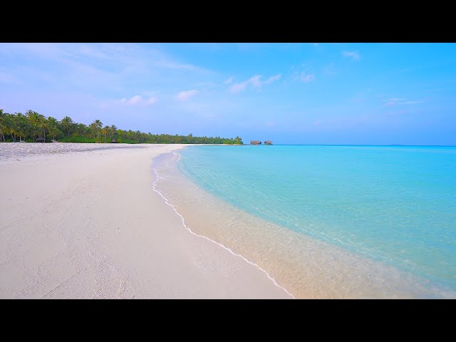 Tropical Bliss: Maldives & Ocean Waves. Ocean sounds for relaxation and sleep