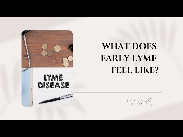 What Does Early Lyme feel like