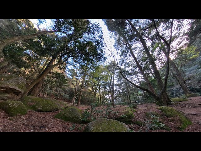 【360video】Hiroshima, itsukushima, omoto park #広島