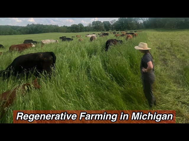 How Regenerative Agriculture Changed Our Farm