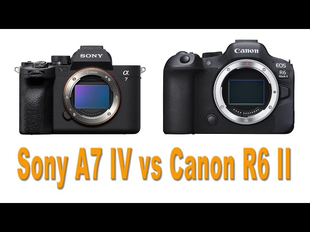 Is The Canon R6 II a Sony A7 IV Killer? Live Discussion & Q&A