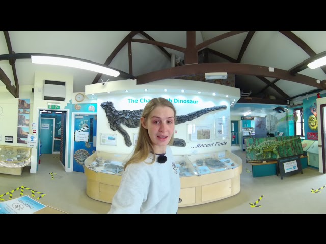 Lyme Regis Fossil Festival - Inside Charmouth Heritage Coast Centre - Anna Holbrook