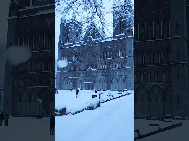 Nidaros Cathedral. Walking in a snowy Trondheim.  ❄️☃️ #citywalk #travel #scandinavia