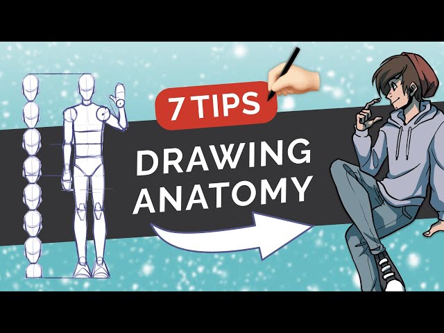 How to Draw & Stylize Human ANATOMY - 7 Tips on Body Proportions - Digital Art Tutorial (MediBang)