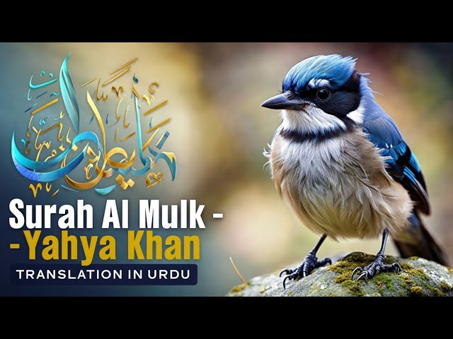 Live Surah Mulk - سورة الملك ✦ A Recitation That Touches The Heart Hafiz Yahya Khan ✦