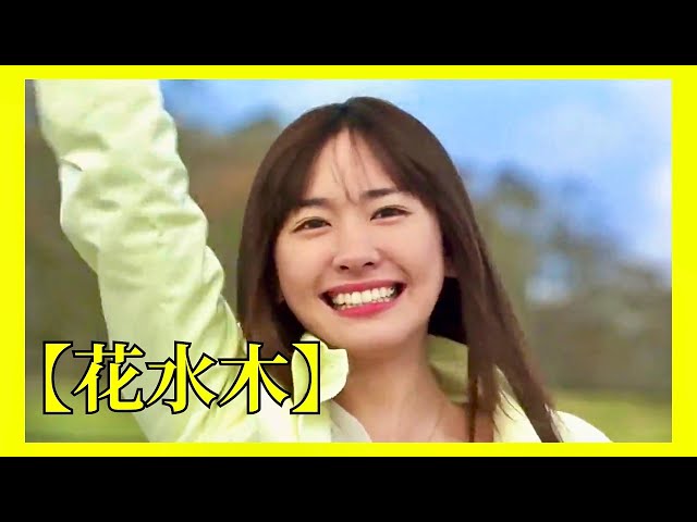 必看🎬！一口气看完日本纯爱电影 《花水木》 ，纯水不坚强，纯爱不珍藏！❤️