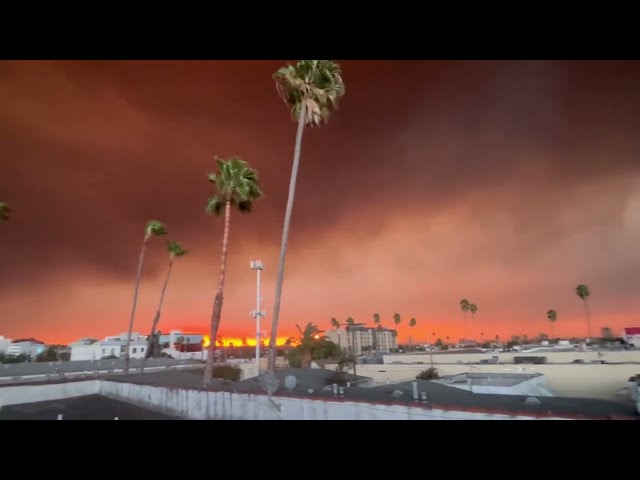 Los Angeles Wildfire 2025 #fire #firestorm #usa #america #losangeles #la #firedepartment #storm