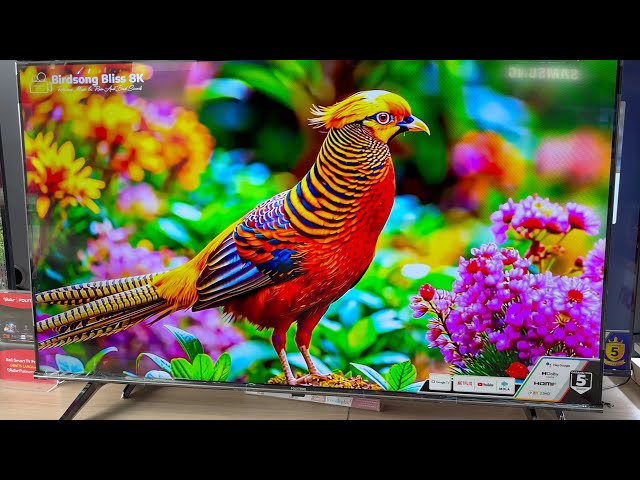 Smart TV 50 Inch, Google TV Polytron PLD 50UG5059 4K Ultra HD