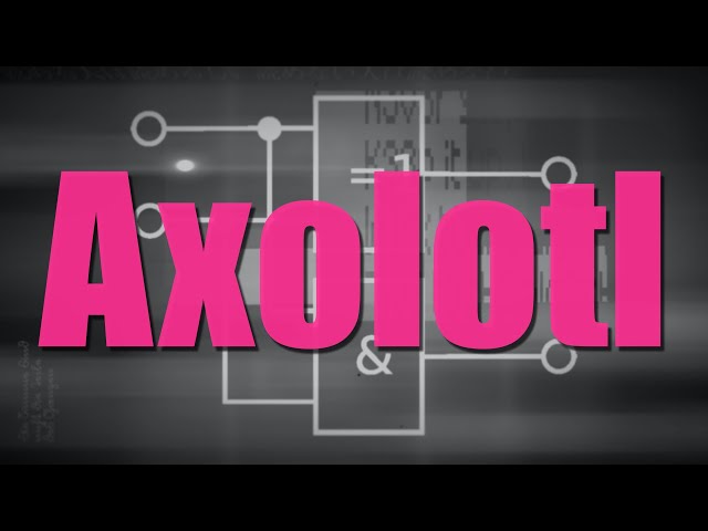 Axolotl Installation No. 1