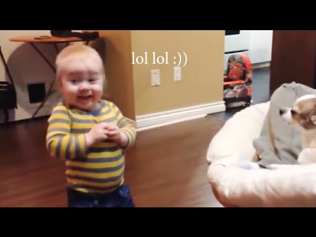 Baby Siblings Playing and Laughing