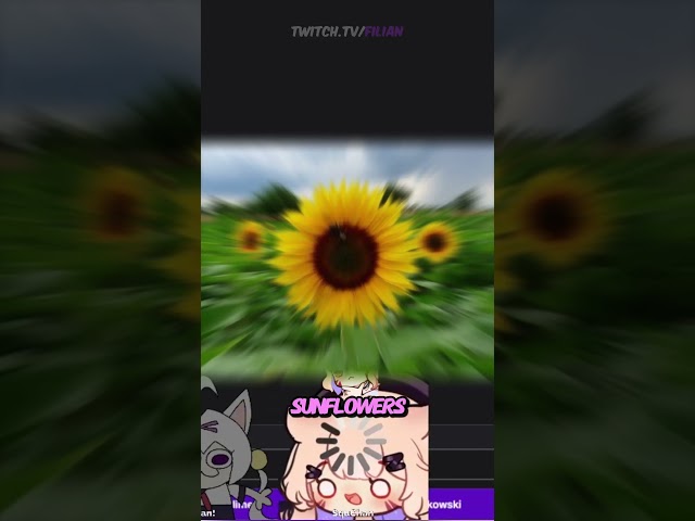 FILIAN SHARED HER FAVORITE FLOWER TO SQU BUT THIS HAPPENED😂 #vtuber #vr #filian #squchan #envtuber