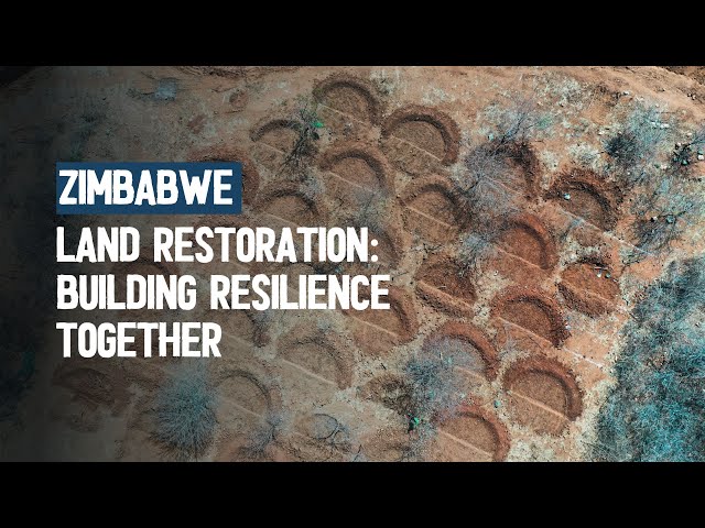 Restoring the Land, Renewing Hope: Empowering Communities in Zimbabwe