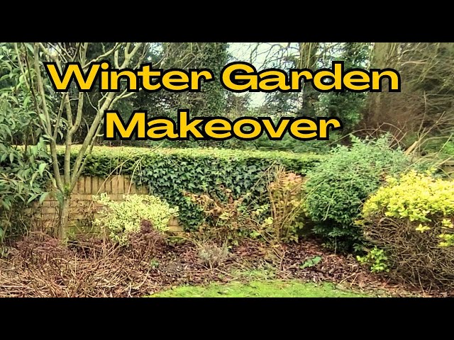 Winter Garden Transformation.  Finding FREE plants and Preparing for SPRING!