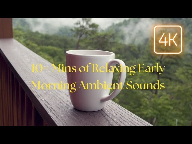 Live Morning Ambient City/ Nature Sounds 4K ASMR