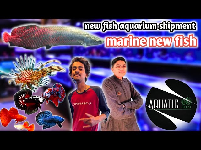 fish aquarium || aquatic house lalukhet fish aquarium market latest update price Karachi marine fish