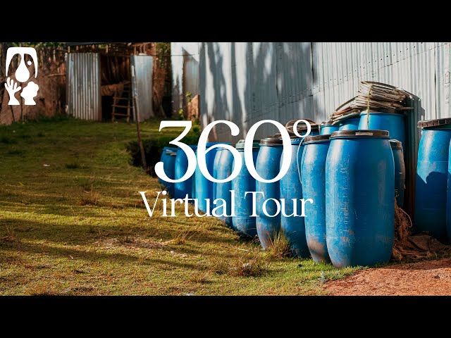 Daye Bensa Coffee [Rumudamo] - TYPICA's 360° Virtual Tour