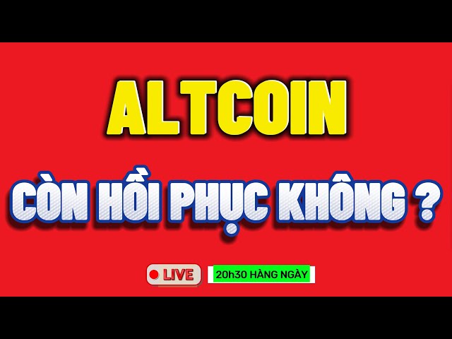 🔴Phân Tích Bitcoin Ngày 13-2-2025 - ALTCOIN - CÒN HỒI PHỤC KHÔNG ?? - Blockchain Việt Nam