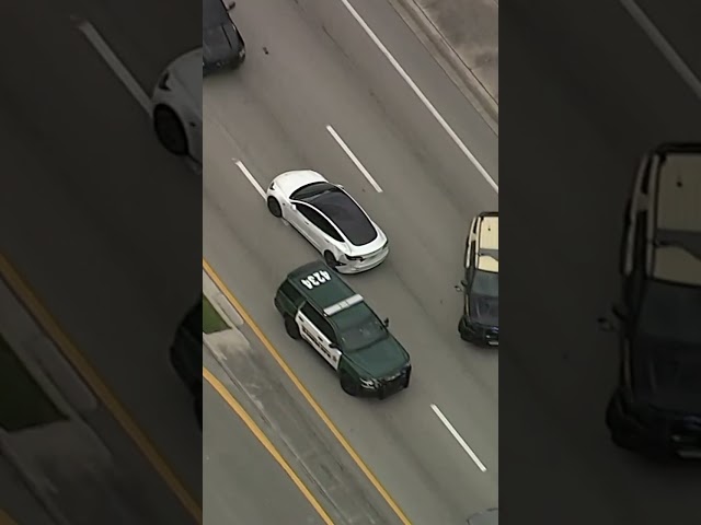 Crazy GTA-Like High Speed Chase | LX News