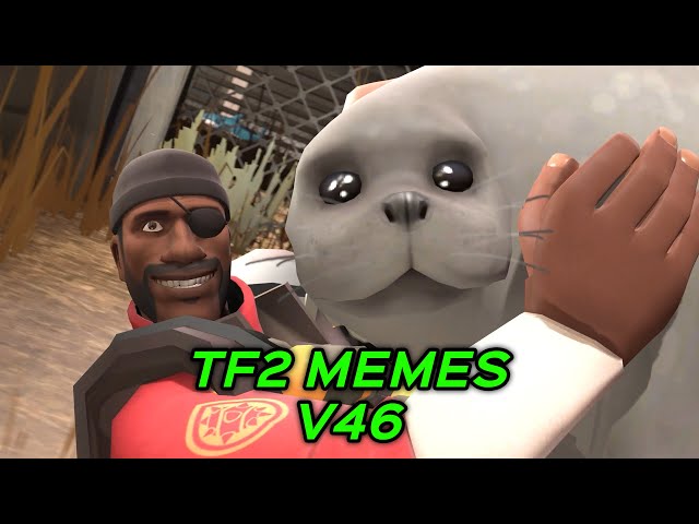 TF2 MEMES V46