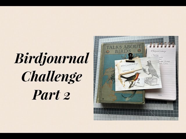 #BirdJournalChallenge - Part 2