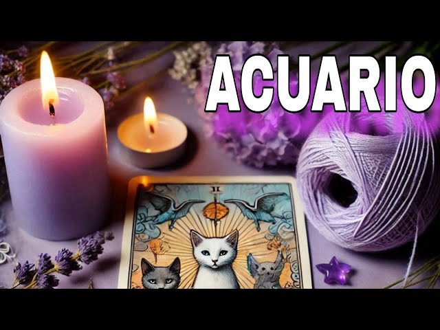 Acuario ♒SUS SENTIMIENTOS POR TI NO LOS PUEDE CALLAR!! VIENE ALEGRIA Y EXITO TOTALES!! horoscopo hoy