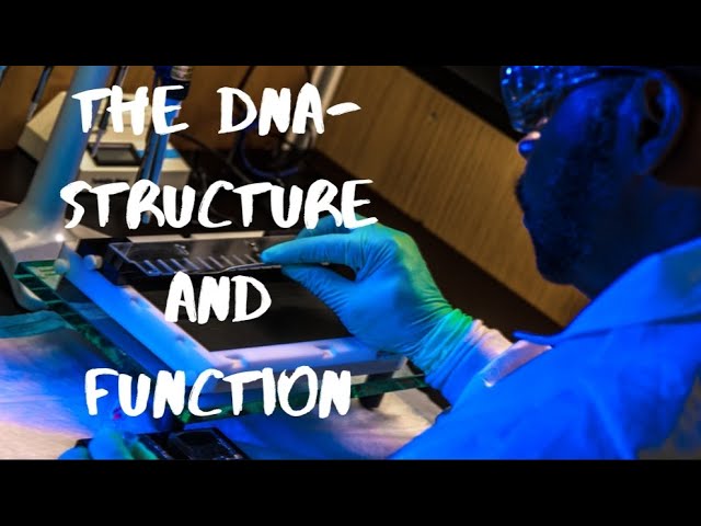 The DNA-STRUCTURE AND FUNCTION | Covers NCERT points |