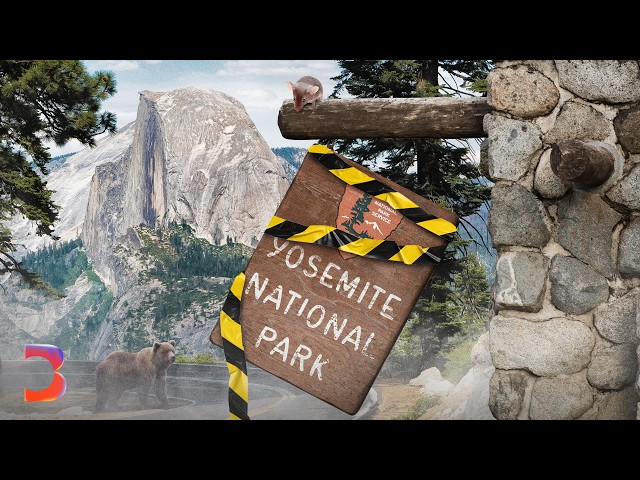 Why Yosemite National Park Is a Mess