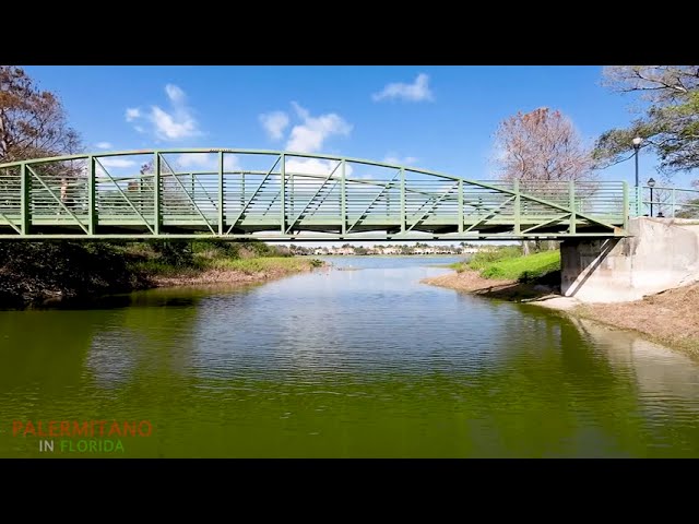 BOCA RATON PONDHAWK NATURAL PARK | DJI FPV AVATA DRONE FOOTAGE