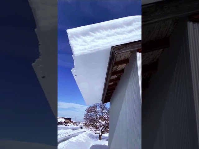 Snow Avalanche Off Roof   So Satisfying!