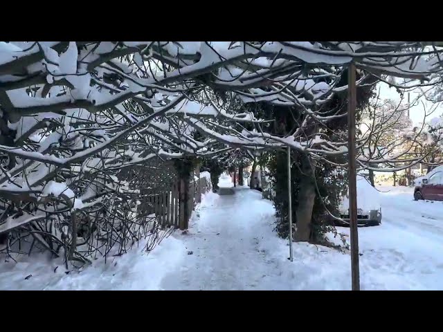 Vancouver is covered in record-breaking snow.