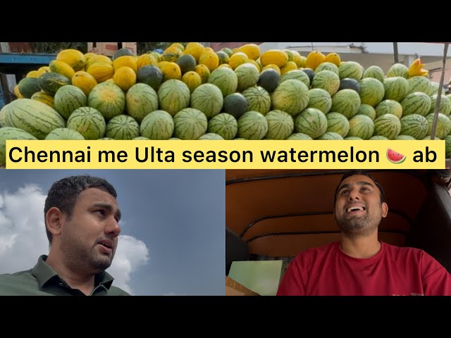 Watermelon 🍉 ka ￼ulta season 😂😂￼