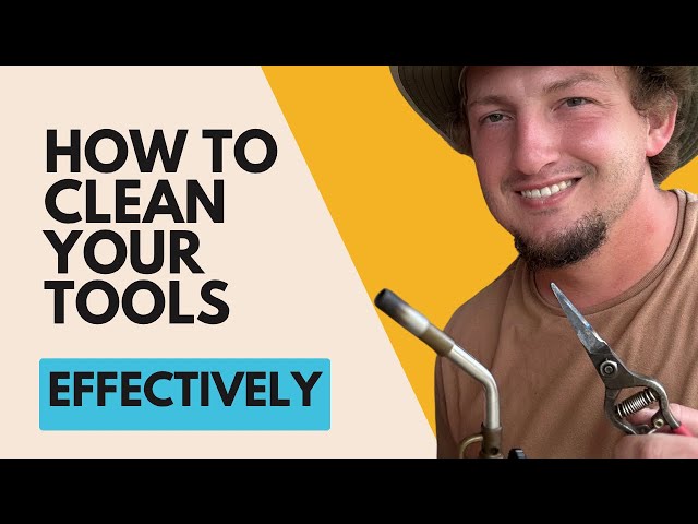 How to Clean Your Plant Tools Effectively 🛠️